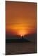 Premium Photographic Print