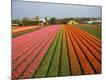 Premium Photographic Print