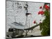 Photographic Print