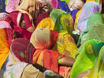 Women in Colorful Saris Gather Together, Jhalawar, Rajasthan, India-Keren Su-Photographic Print
