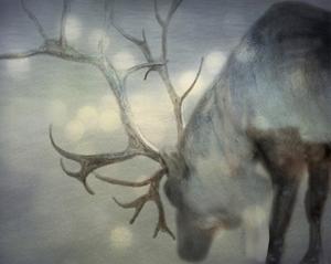 Keri Bevan Art Prints Paintings Posters Wall Art Art Com