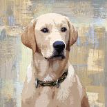 Golden Retriever-Keri Rodgers-Art Print