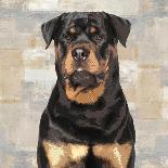 French Bulldog-Keri Rodgers-Framed Art Print