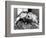 Kermit and Sheila, Tree Frog Lovers Get Close, February 1987-null-Framed Photographic Print