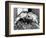 Kermit and Sheila, Tree Frog Lovers Get Close, February 1987-null-Framed Photographic Print