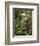 Kermode Spirit Bear, White Morph of Black Bear, Princess Royal Island, British Columbia, Canada-Eric Baccega-Framed Photographic Print