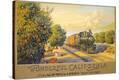Stretched Canvas Print