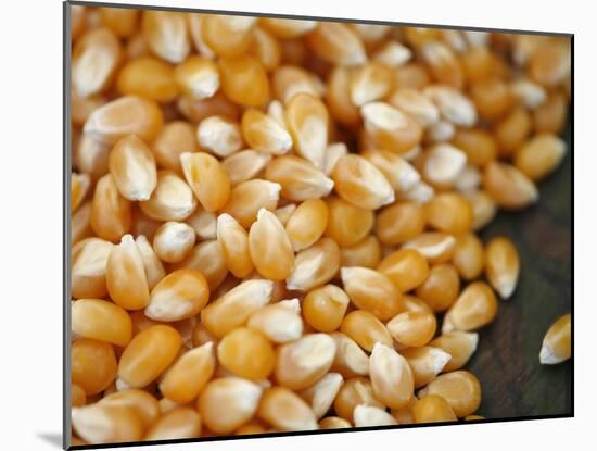 Kernels-Nicole Katano-Mounted Photo