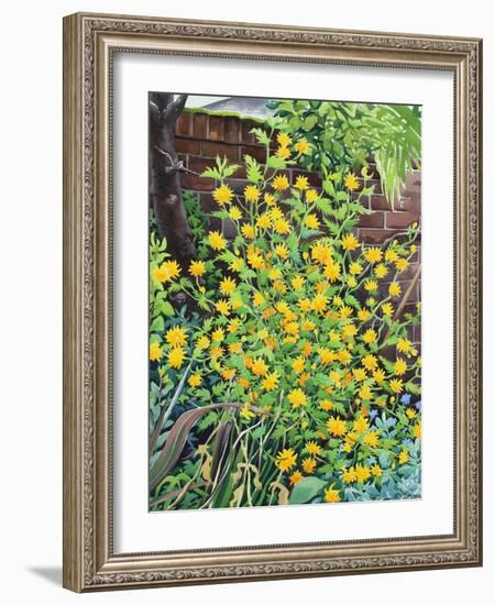 Kerria Japonica-Christopher Ryland-Framed Giclee Print