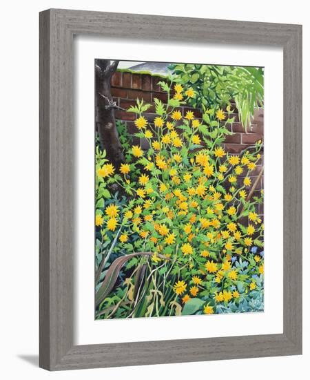 Kerria Japonica-Christopher Ryland-Framed Giclee Print