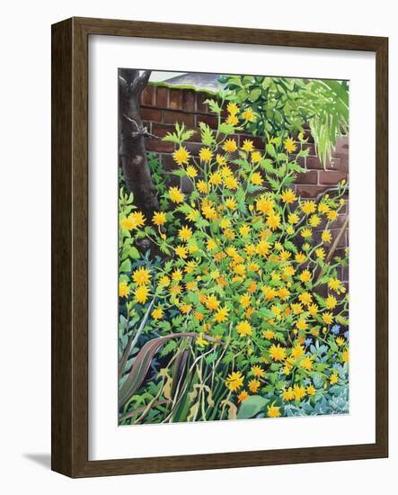 Kerria Japonica-Christopher Ryland-Framed Giclee Print