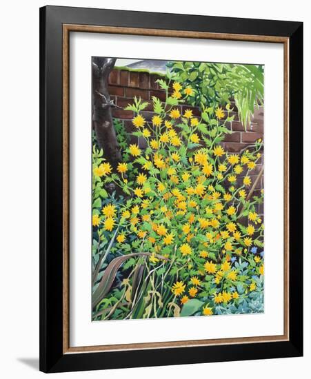 Kerria Japonica-Christopher Ryland-Framed Giclee Print