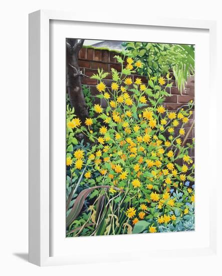 Kerria Japonica-Christopher Ryland-Framed Giclee Print