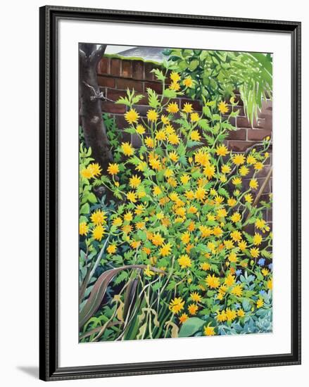 Kerria Japonica-Christopher Ryland-Framed Giclee Print