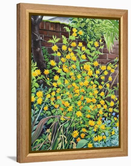 Kerria Japonica-Christopher Ryland-Framed Premier Image Canvas