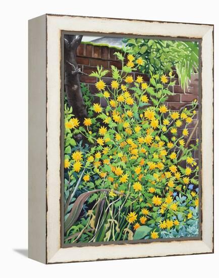 Kerria Japonica-Christopher Ryland-Framed Premier Image Canvas