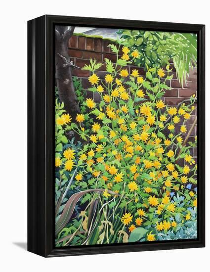 Kerria Japonica-Christopher Ryland-Framed Premier Image Canvas