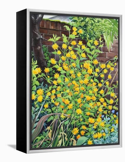 Kerria Japonica-Christopher Ryland-Framed Premier Image Canvas