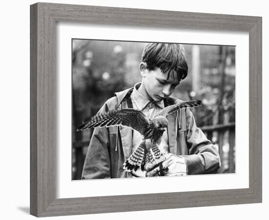 Kes, David Bradley, 1969-null-Framed Photo