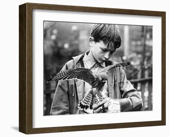 Kes, David Bradley, 1969-null-Framed Photo