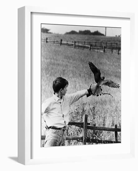 Kes, David Bradley, 1969-null-Framed Premium Photographic Print