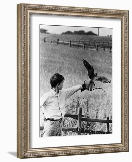 Kes, David Bradley, 1969-null-Framed Photo