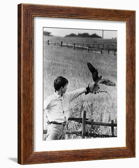 Kes, David Bradley, 1969-null-Framed Photo