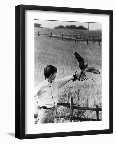 Kes, David Bradley, 1969-null-Framed Photo