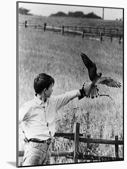 Kes, David Bradley, 1969-null-Mounted Photo