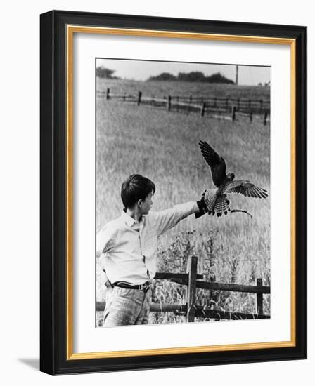 Kes, David Bradley, 1969-null-Framed Photo