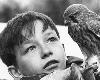 Premium Photographic Print