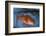 Kescher, Shortraker Rockfish, Sebastes Borealis, Catch-Newly, Fishing Rod-Carl-Werner Schmidt-Luchs-Framed Photographic Print