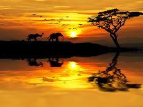 Africa Parading along the Lake-kesipun-Framed Premier Image Canvas