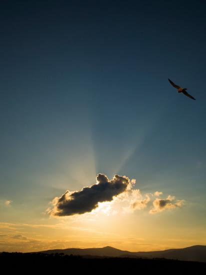 Photographic Print, , large