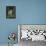 Kestrel, Captive, United Kingdom, Europe-Toon Ann & Steve-Framed Premier Image Canvas displayed on a wall
