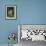 Kestrel, Captive, United Kingdom, Europe-Toon Ann & Steve-Framed Photographic Print displayed on a wall