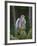 Kestrel, Captive, United Kingdom, Europe-Toon Ann & Steve-Framed Photographic Print