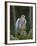 Kestrel, Captive, United Kingdom, Europe-Toon Ann & Steve-Framed Photographic Print