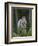 Kestrel, Captive, United Kingdom, Europe-Toon Ann & Steve-Framed Photographic Print