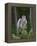 Kestrel, Captive, United Kingdom, Europe-Toon Ann & Steve-Framed Premier Image Canvas