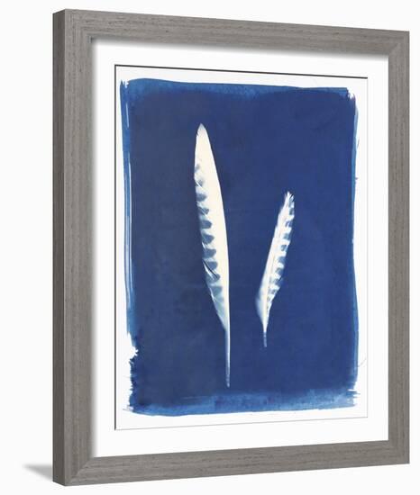 Kestrel Feathers-Sarah Cheyne-Framed Giclee Print