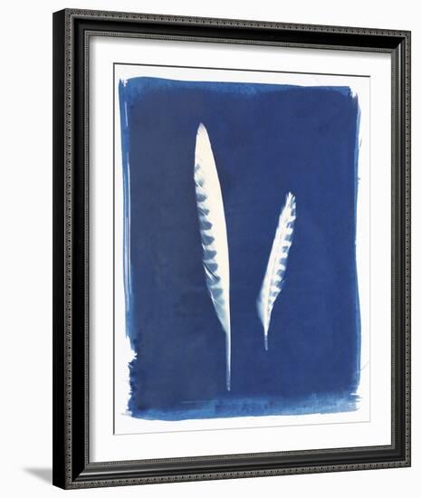 Kestrel Feathers-Sarah Cheyne-Framed Giclee Print