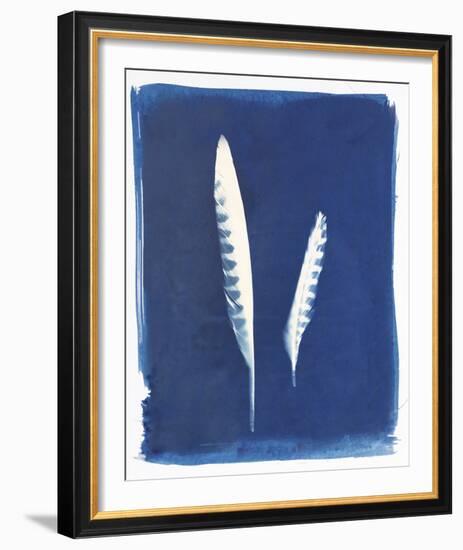 Kestrel Feathers-Sarah Cheyne-Framed Giclee Print