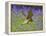 Kestrel Male Hunting in Bluebells-null-Framed Premier Image Canvas