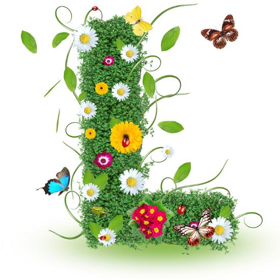 Beautiful Spring Letter