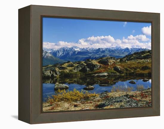 Kesugi Ridge, Denali National Park, Alaska, USA-Scott T. Smith-Framed Premier Image Canvas