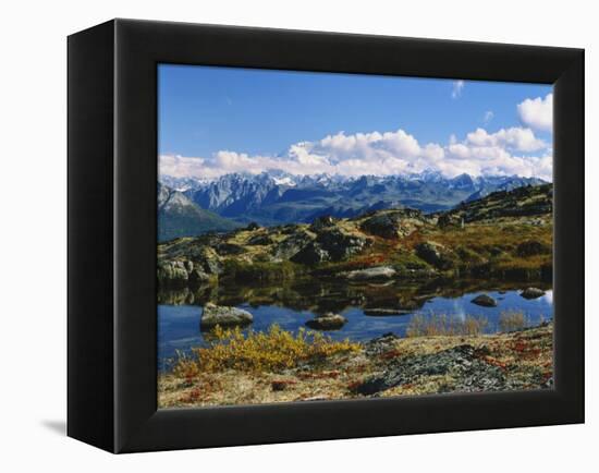 Kesugi Ridge, Denali National Park, Alaska, USA-Scott T. Smith-Framed Premier Image Canvas