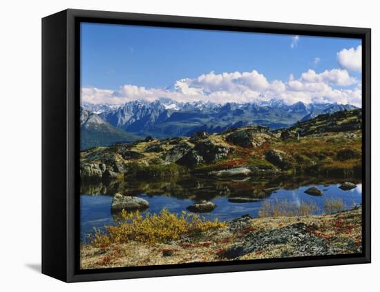 Kesugi Ridge, Denali National Park, Alaska, USA-Scott T. Smith-Framed Premier Image Canvas