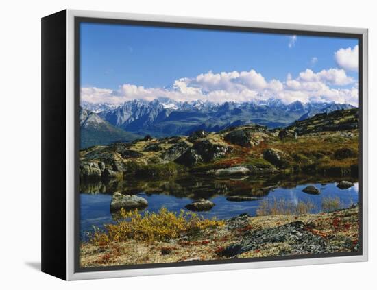 Kesugi Ridge, Denali National Park, Alaska, USA-Scott T. Smith-Framed Premier Image Canvas