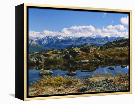 Kesugi Ridge, Denali National Park, Alaska, USA-Scott T. Smith-Framed Premier Image Canvas